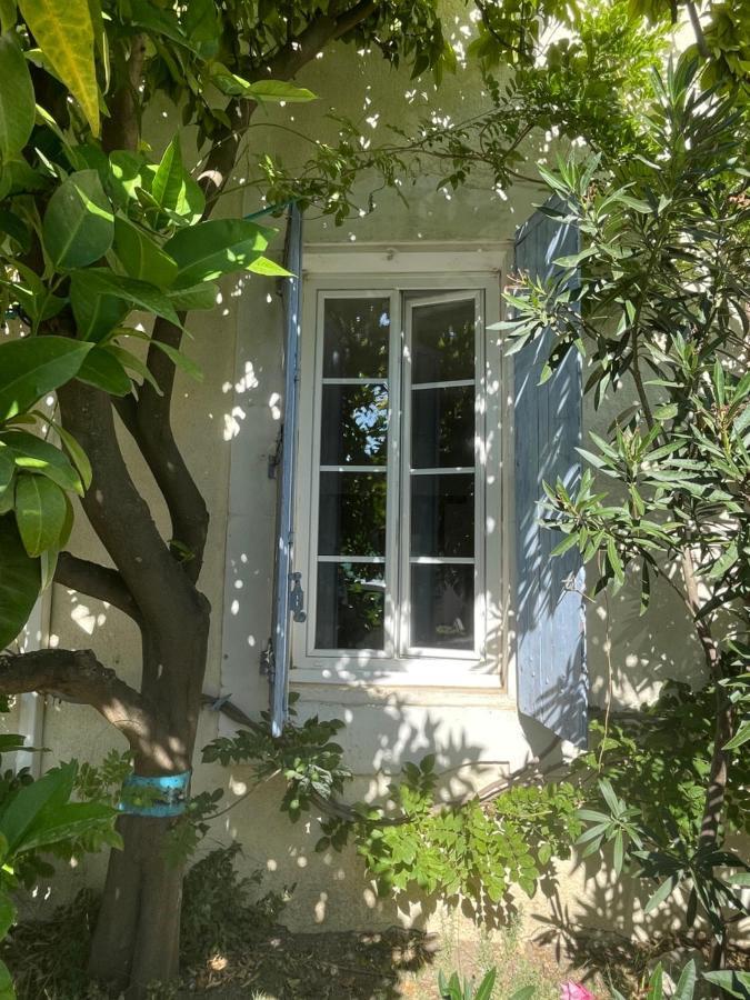 Du Cote De Chez Nous Lejlighed Cuxac-dʼAude Eksteriør billede